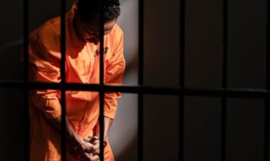 Menyikapi Pelanggaran Hukum, Ketahui Macam-macam Hukuman Pidana dalam KUHP