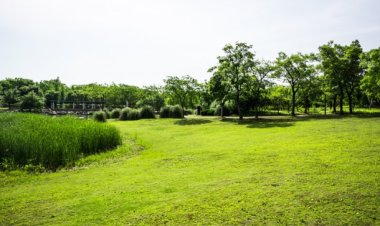 Pelanggaran Hukum, Begini Ancaman Hukum Mafia Tanah