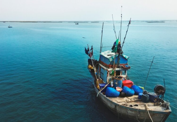 Kegiatan Melanggar Hukum, Apa yang Dimaksud dengan Illegal Fishing?