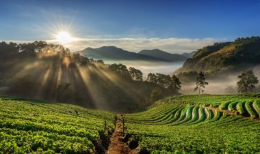 Tentang Pertanahan, Pahami Apa itu Hukum Agraria