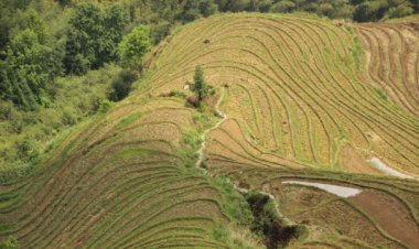 Tertulis dalam UUPA, Simak Asas-asas Hukum Agraria