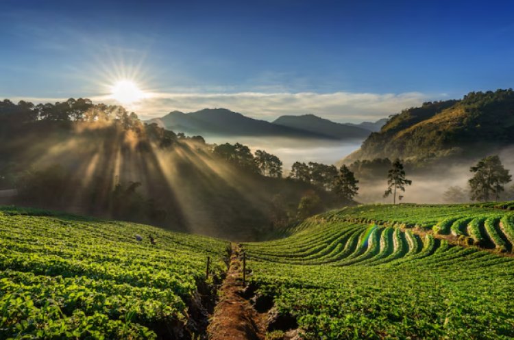 Tentang Pertanahan, Pahami Apa itu Hukum Agraria