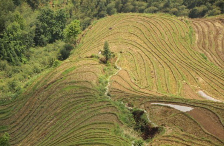 Tertulis dalam UUPA, Simak Asas-asas Hukum Agraria
